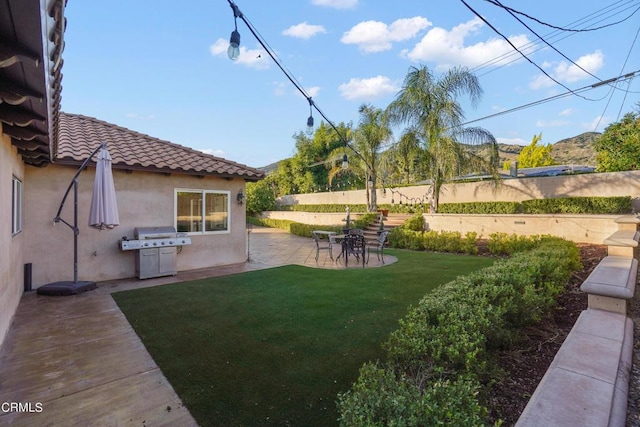 view of yard featuring a patio area