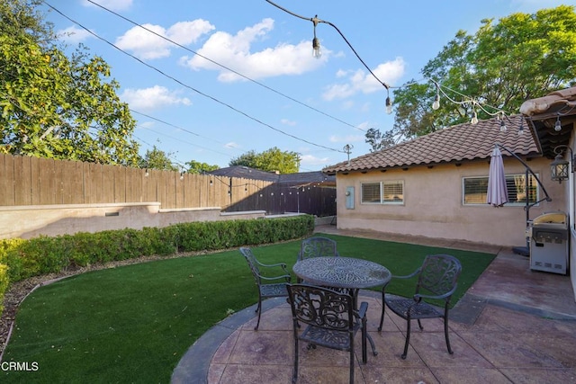 view of yard with a patio