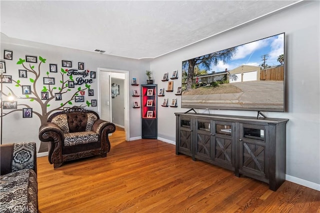 living room with wood-type flooring