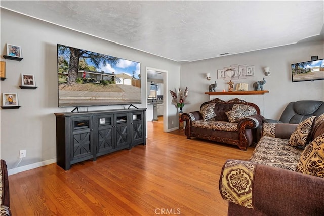 living room featuring hardwood / wood-style flooring