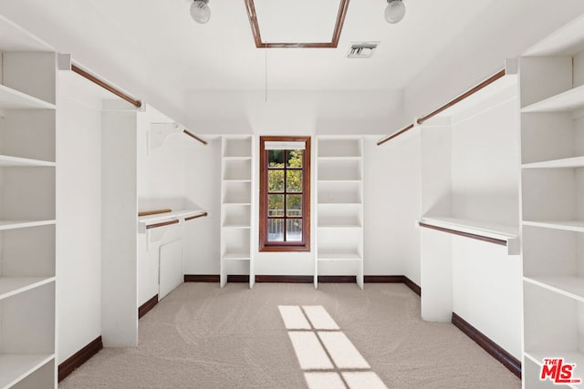 walk in closet with light carpet