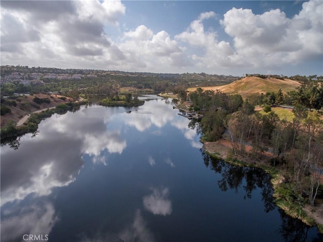 bird's eye view with a water view