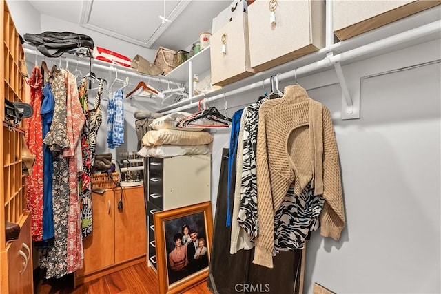 walk in closet featuring hardwood / wood-style floors