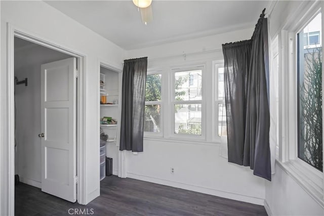 unfurnished bedroom featuring ceiling fan, dark hardwood / wood-style flooring, and multiple windows