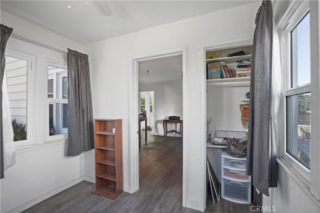 interior space featuring dark hardwood / wood-style floors