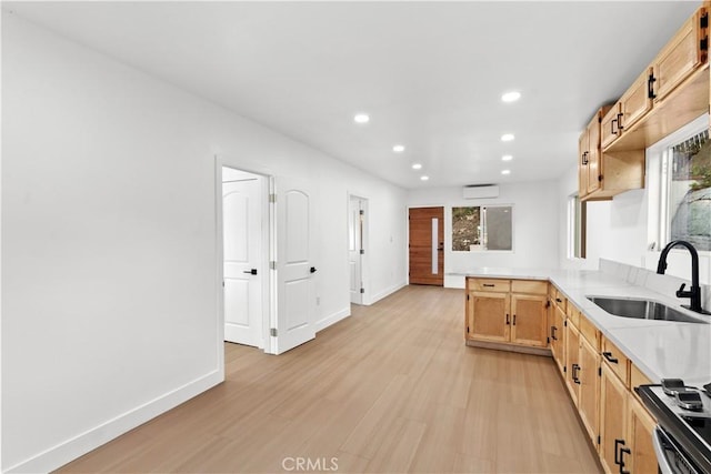 kitchen featuring light brown cabinets, light hardwood / wood-style flooring, a wealth of natural light, and sink