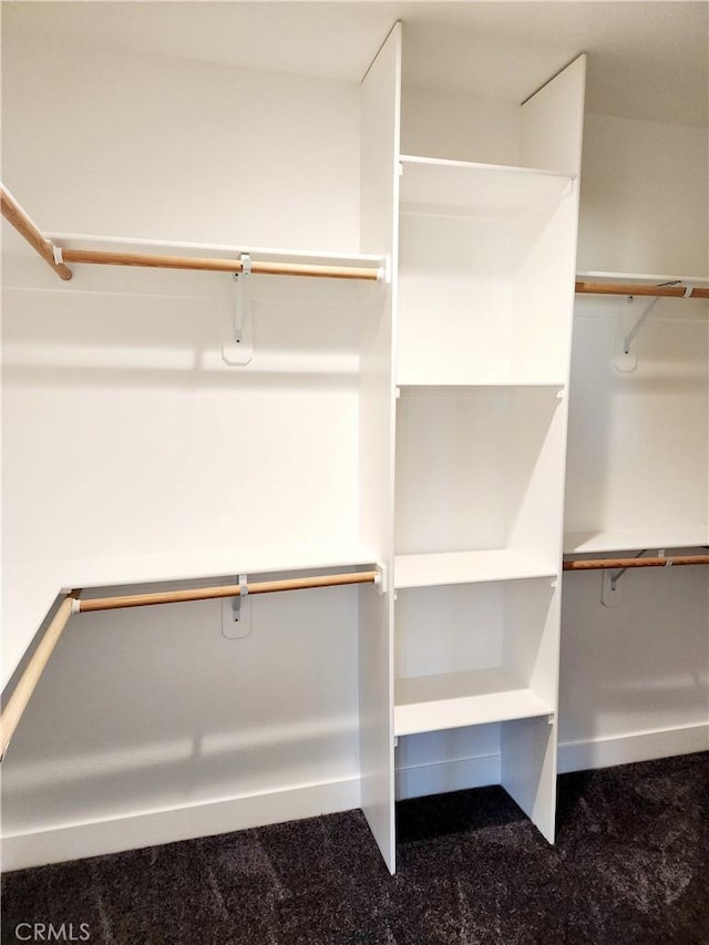 spacious closet featuring carpet flooring