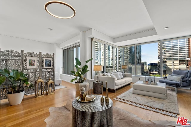 living room featuring a healthy amount of sunlight and light hardwood / wood-style floors