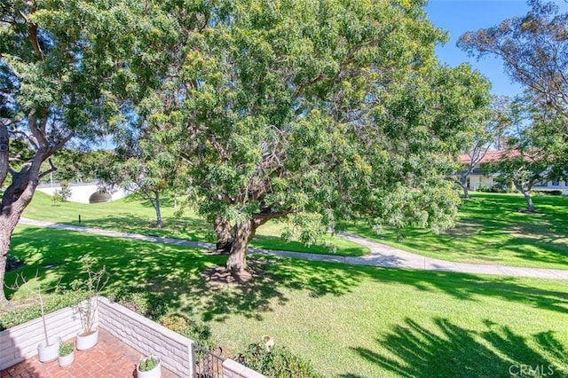 surrounding community featuring a patio area and a lawn