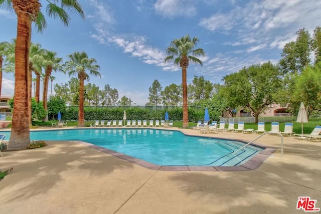 view of pool featuring a patio