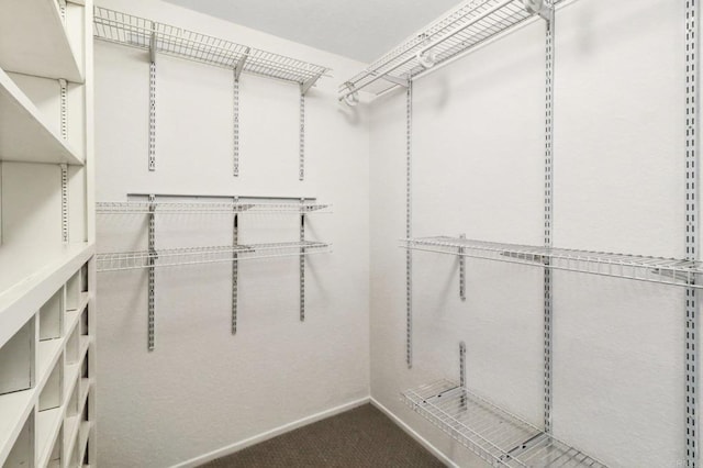 walk in closet featuring carpet