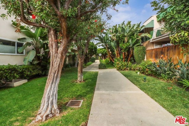 view of property's community featuring a lawn