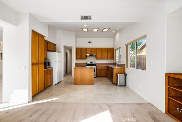 kitchen with sink, a center island, light colored carpet, and stainless steel appliances