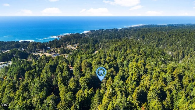 drone / aerial view featuring a wooded view