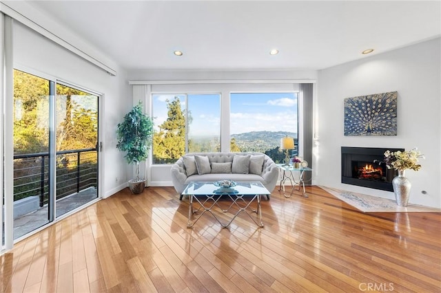 living room featuring wood-type flooring