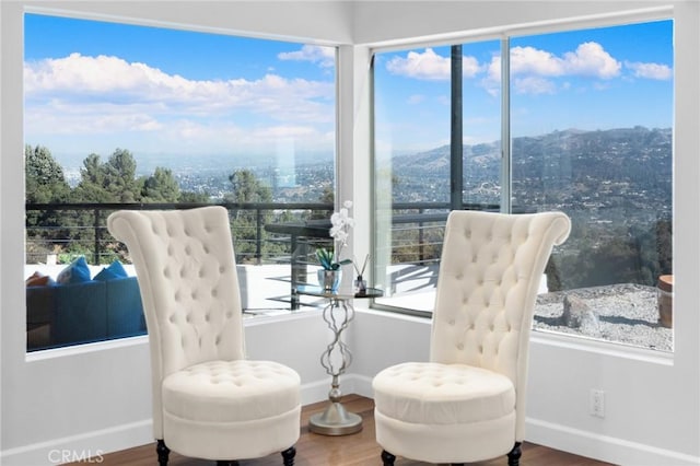 living area with hardwood / wood-style floors, a mountain view, and a wealth of natural light