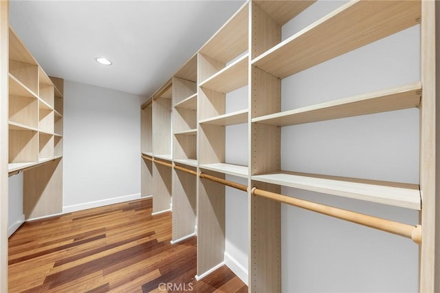 spacious closet featuring dark wood-type flooring