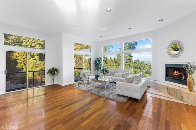 living room featuring hardwood / wood-style flooring