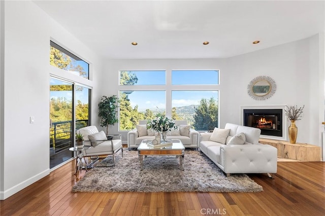 living room featuring a wealth of natural light and hardwood / wood-style flooring