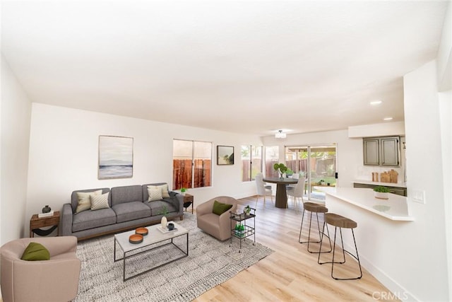 living room featuring light wood-type flooring