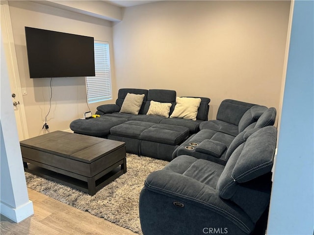 living room featuring light hardwood / wood-style floors