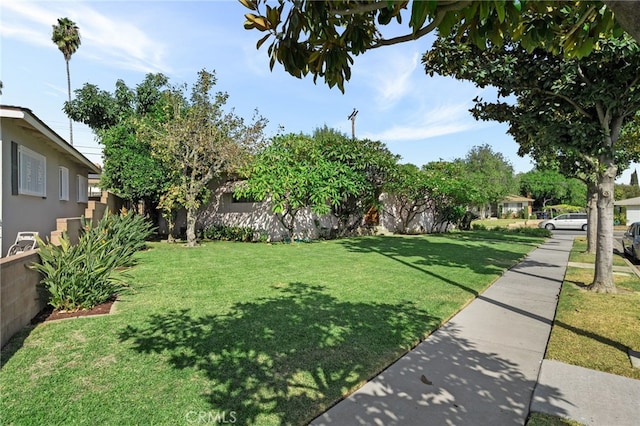 8653 Norwood Pl, Rosemead, CA 91770 - view of yard
