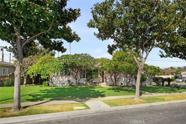 obstructed view of property with a front lawn