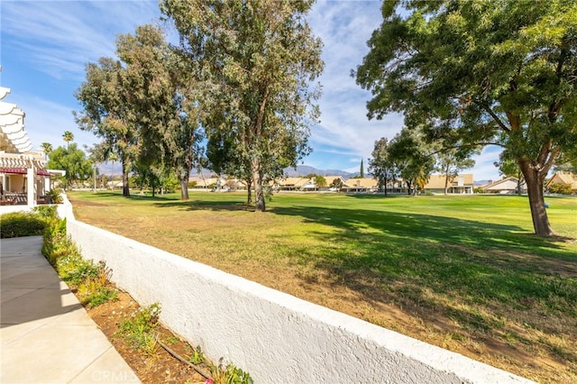 view of home's community with a yard