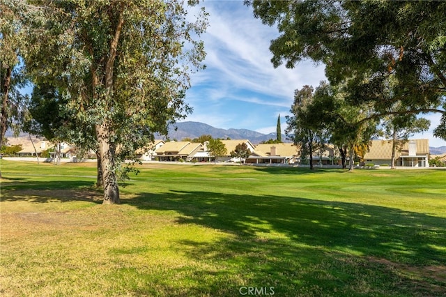 view of community with a mountain view and a lawn