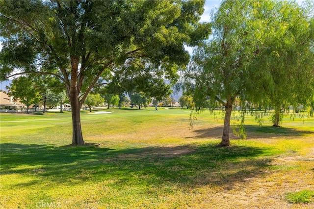 view of property's community featuring a yard