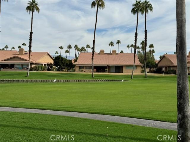 view of community featuring a lawn