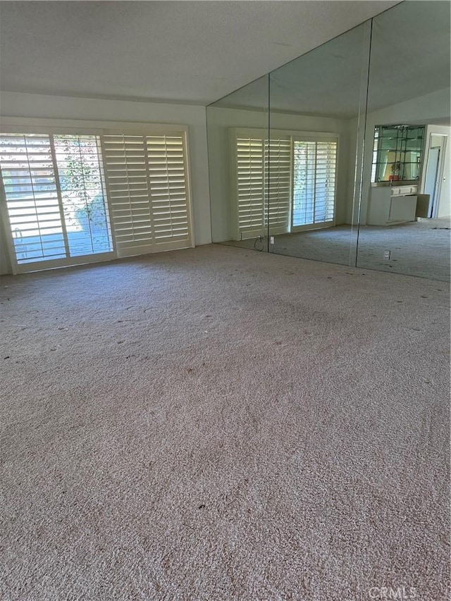 carpeted empty room with a wealth of natural light