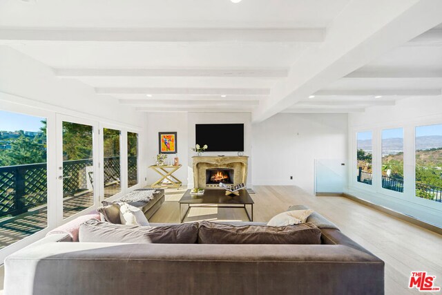 living room with french doors, a wealth of natural light, light hardwood / wood-style flooring, and beamed ceiling