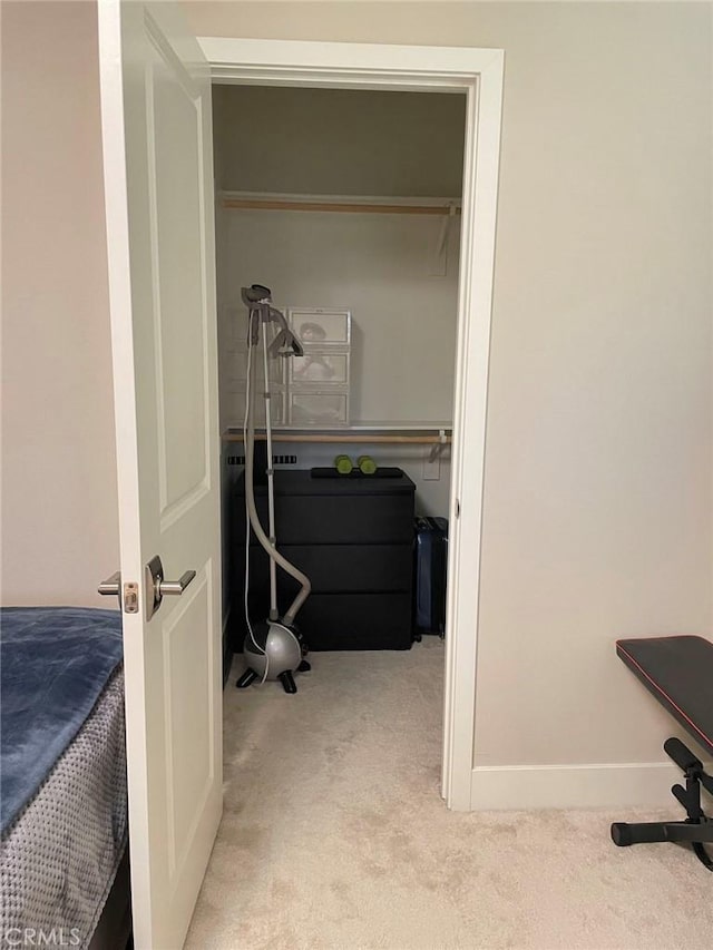 spacious closet with light carpet