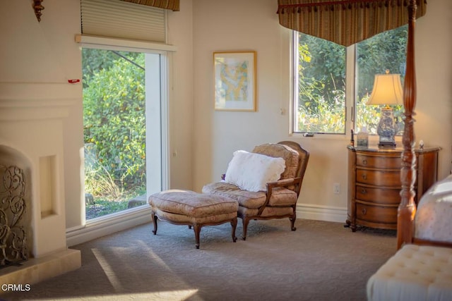 sitting room featuring carpet floors