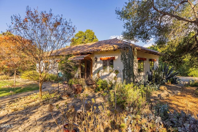 view of front of property with a tile roof and stucco siding