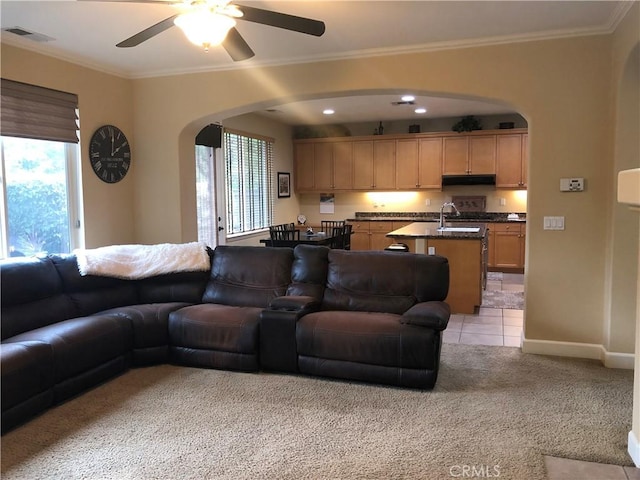 carpeted living room featuring ceiling fan, sink, and crown molding