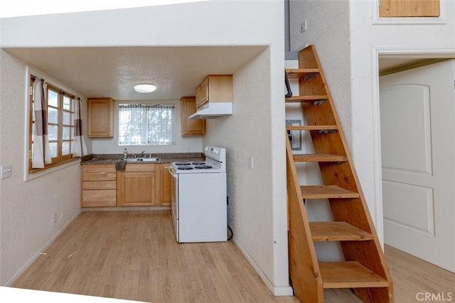 kitchen featuring light hardwood / wood-style floors, sink, white electric stove, and light brown cabinetry