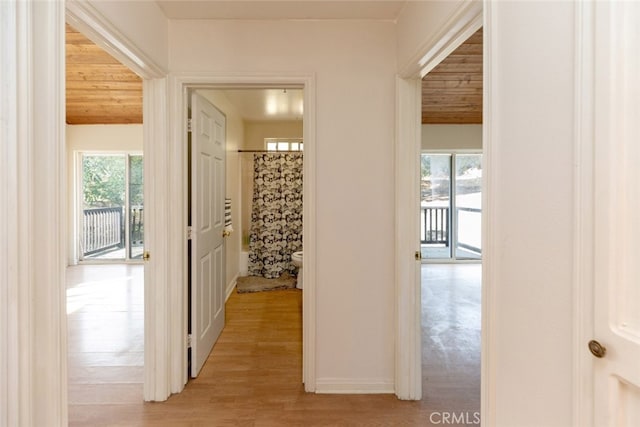 hall with a healthy amount of sunlight, light hardwood / wood-style floors, and wooden ceiling