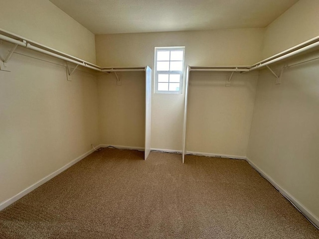 spacious closet with carpet flooring