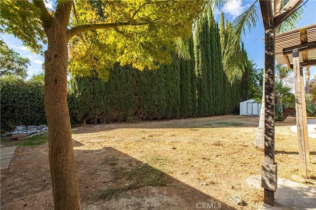 view of yard with an outbuilding and a storage shed