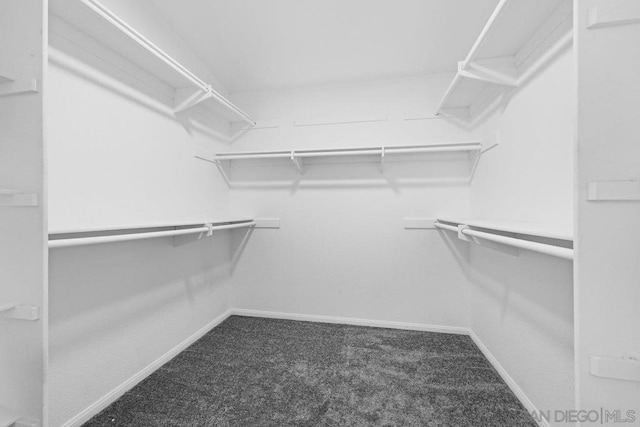 spacious closet with carpet flooring