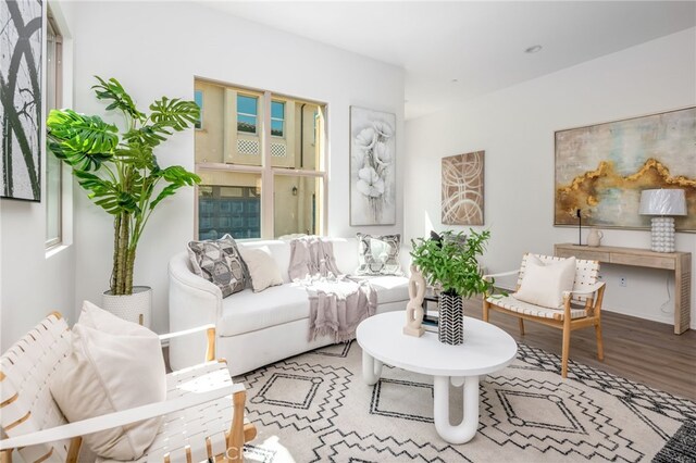 living room with hardwood / wood-style floors