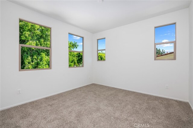 carpeted spare room featuring a wealth of natural light