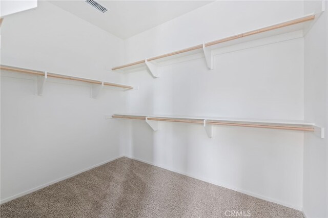 spacious closet featuring carpet floors