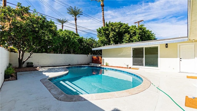 view of pool featuring a patio area