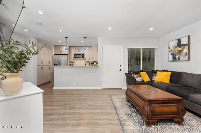 living room featuring light hardwood / wood-style floors