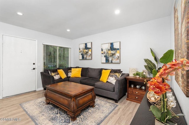 living room with light hardwood / wood-style floors