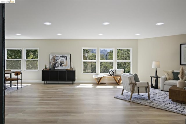 living room featuring light hardwood / wood-style flooring and a healthy amount of sunlight