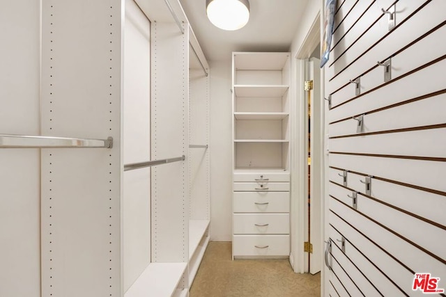 view of walk in closet